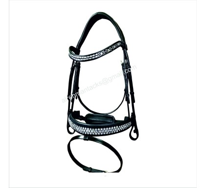 Leather Bridle 